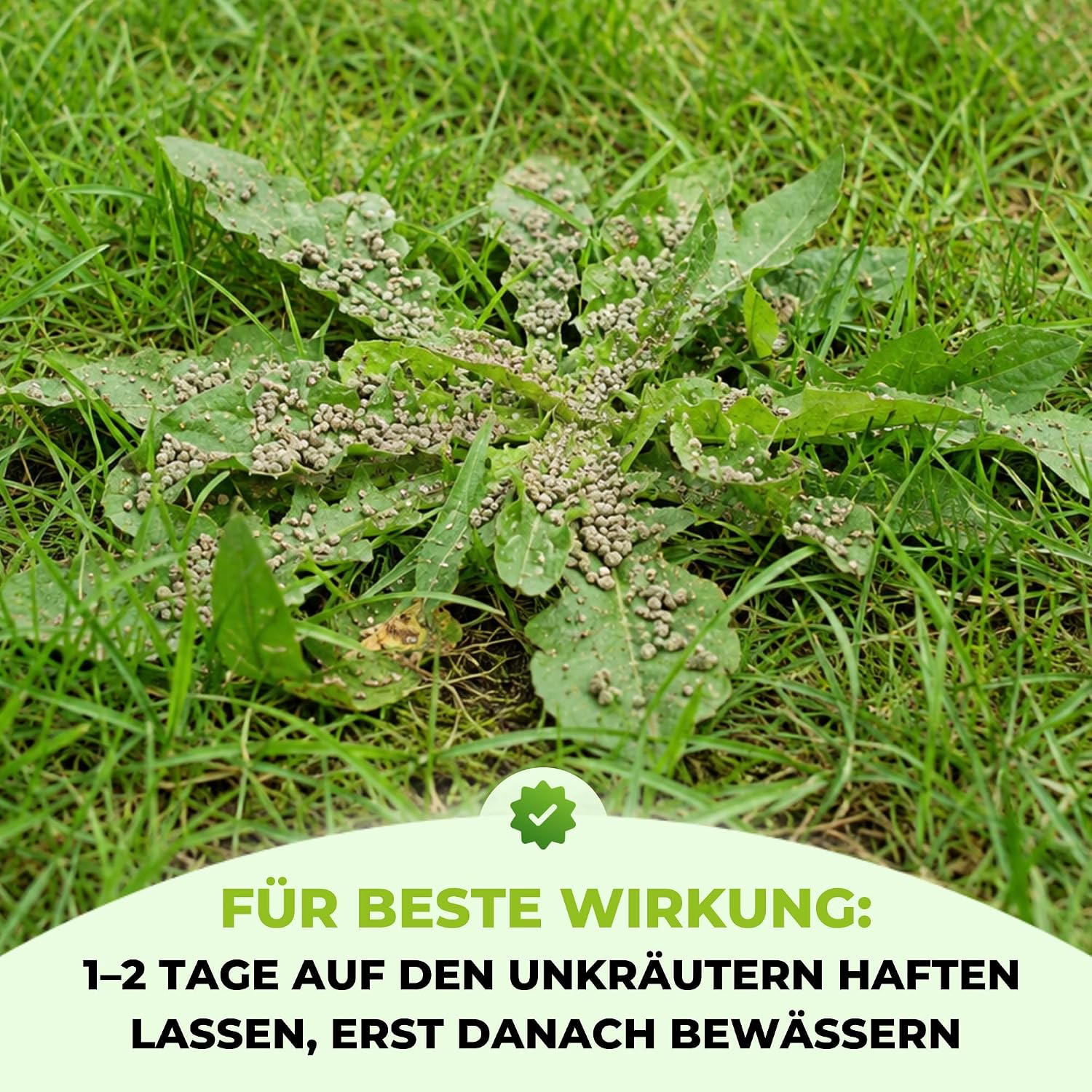 Thumbnail 4 de TerraUno Rasendünger Unkrautvernichter 5 kg