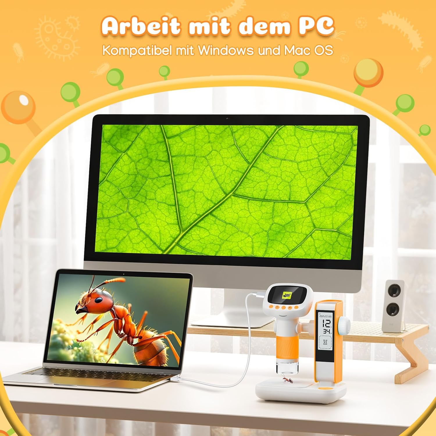 Thumbnail 5 de Leipan Digitales Mikroskop 1000x