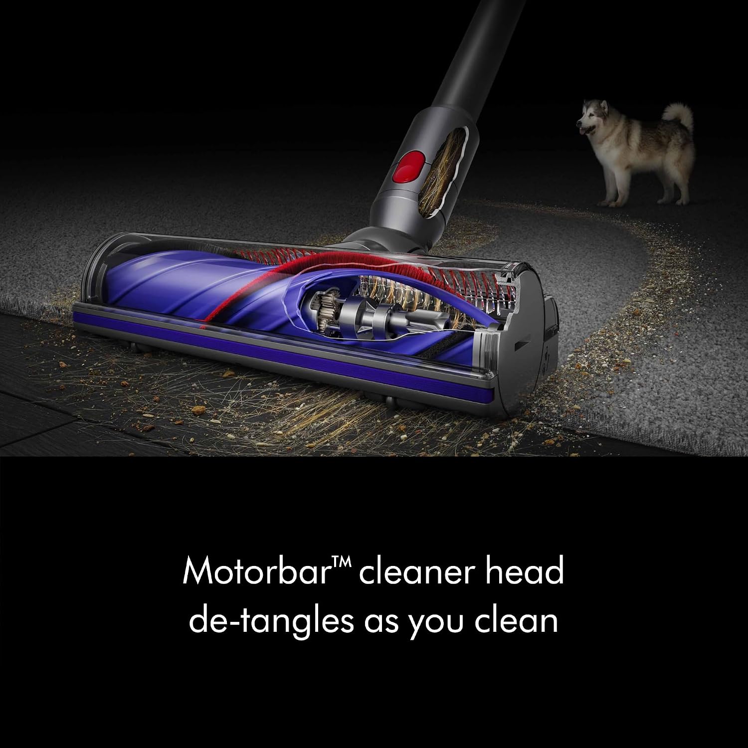 Thumbnail 2 de Dyson Cordless Vacuum V8