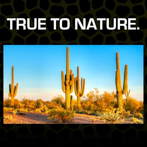 Thumbnail 3 de Exoterra Arena del Desierto 4,5 kg 🐾