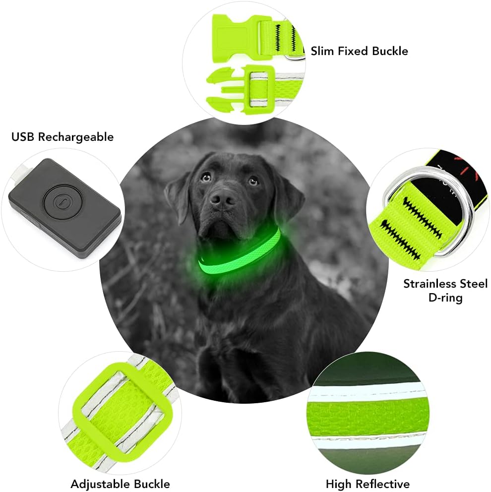 Thumbnail 4 de YFbrite Leuchtendes Hundehalsband L