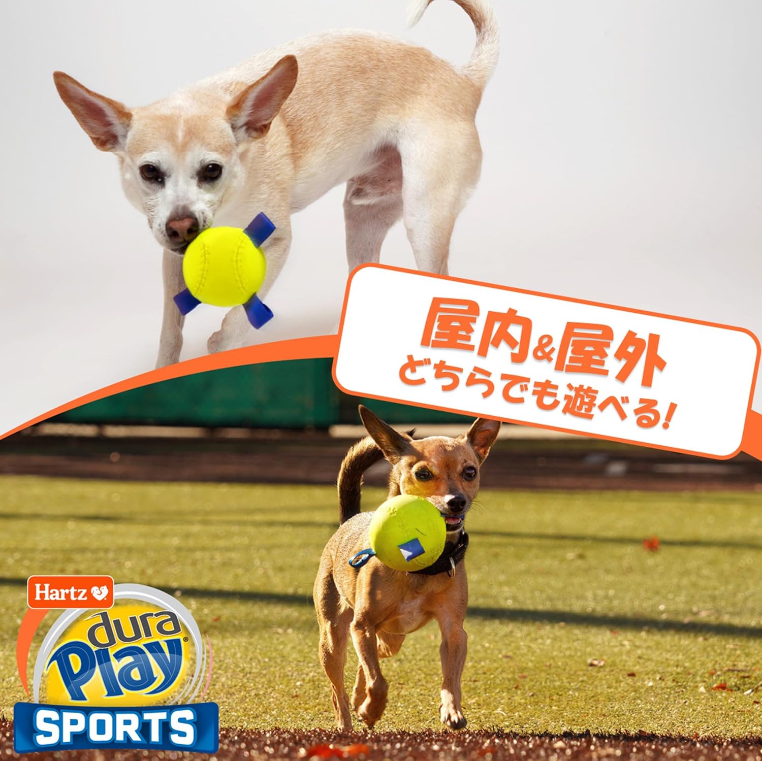 Thumbnail 3 de Hartz デュラプレイ SPORTS アメフト型犬用おもちゃ｜ラテックス素材・鳴き笛付き・水洗い可能