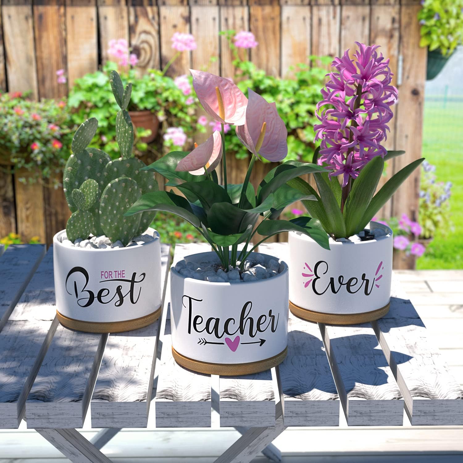 Detalle de Teacher Appreciation Gifts for Women: Best Teacher Ever Ceramic Succulent Pots