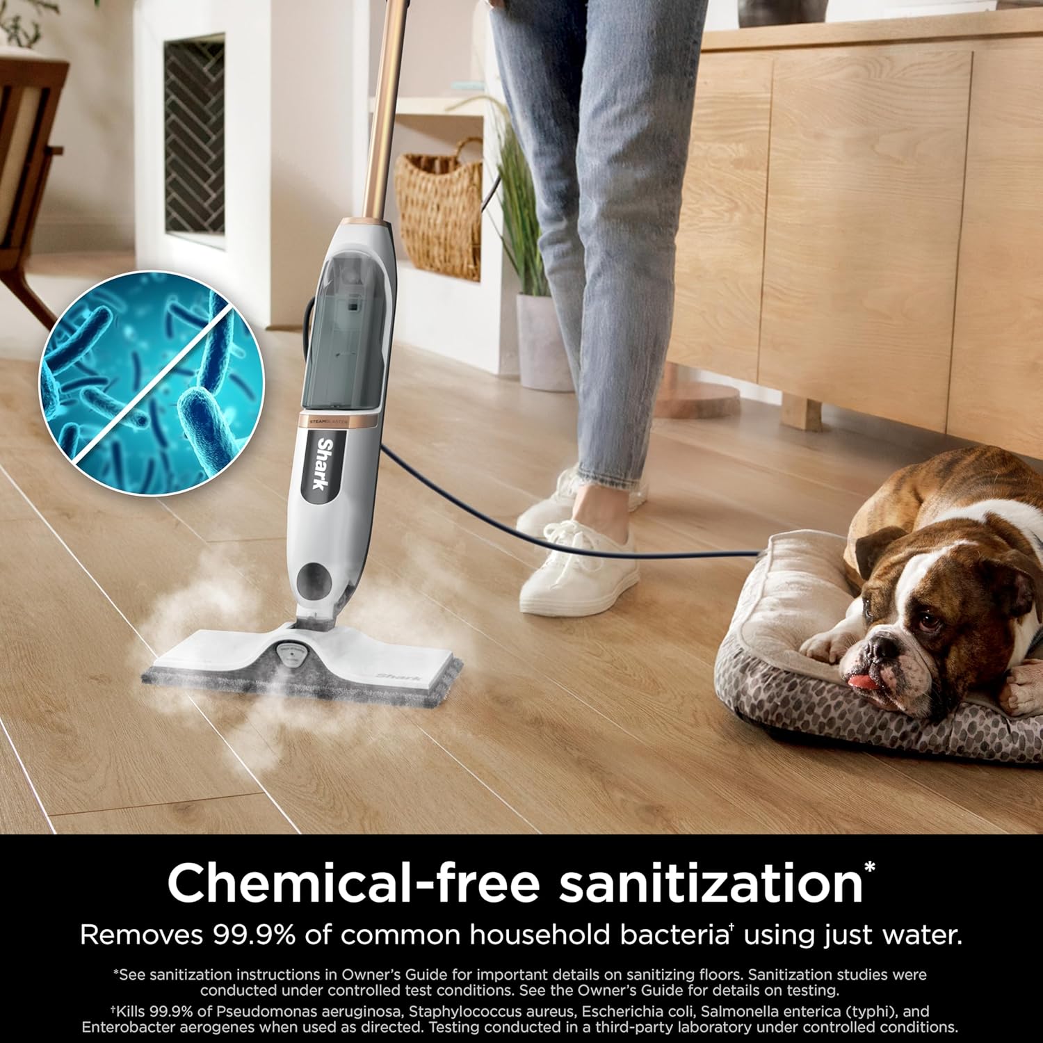 Thumbnail 2 de Shark SteamSpot Steam Mop with Steam Blaster Technology (S2001)