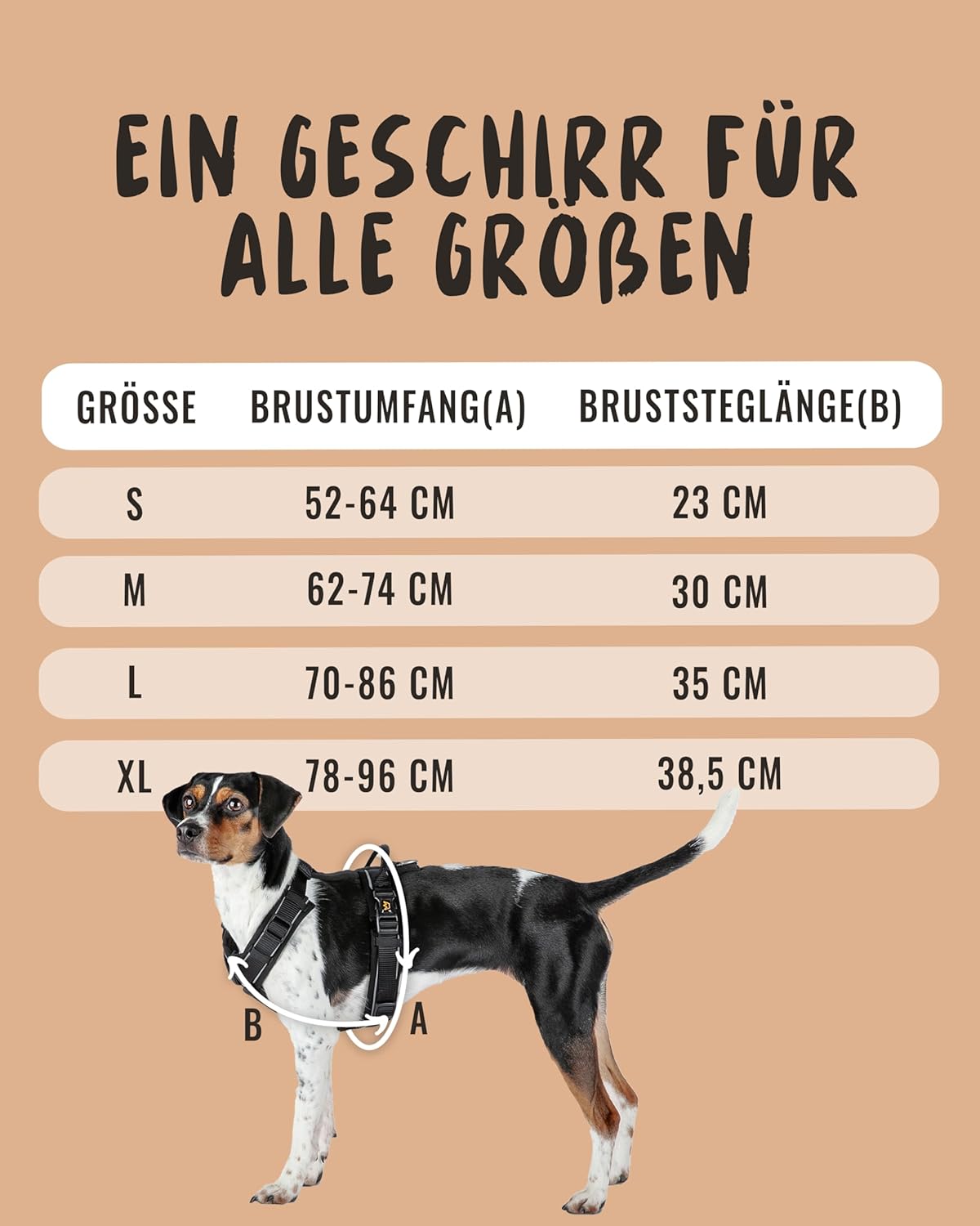 Detalle de Rudelkönig Paola Reflektierendes Hundegeschirr mit Haltegriff – Y-Design, verstellbar, geeignet für kleine bis mittelgroße Hunde