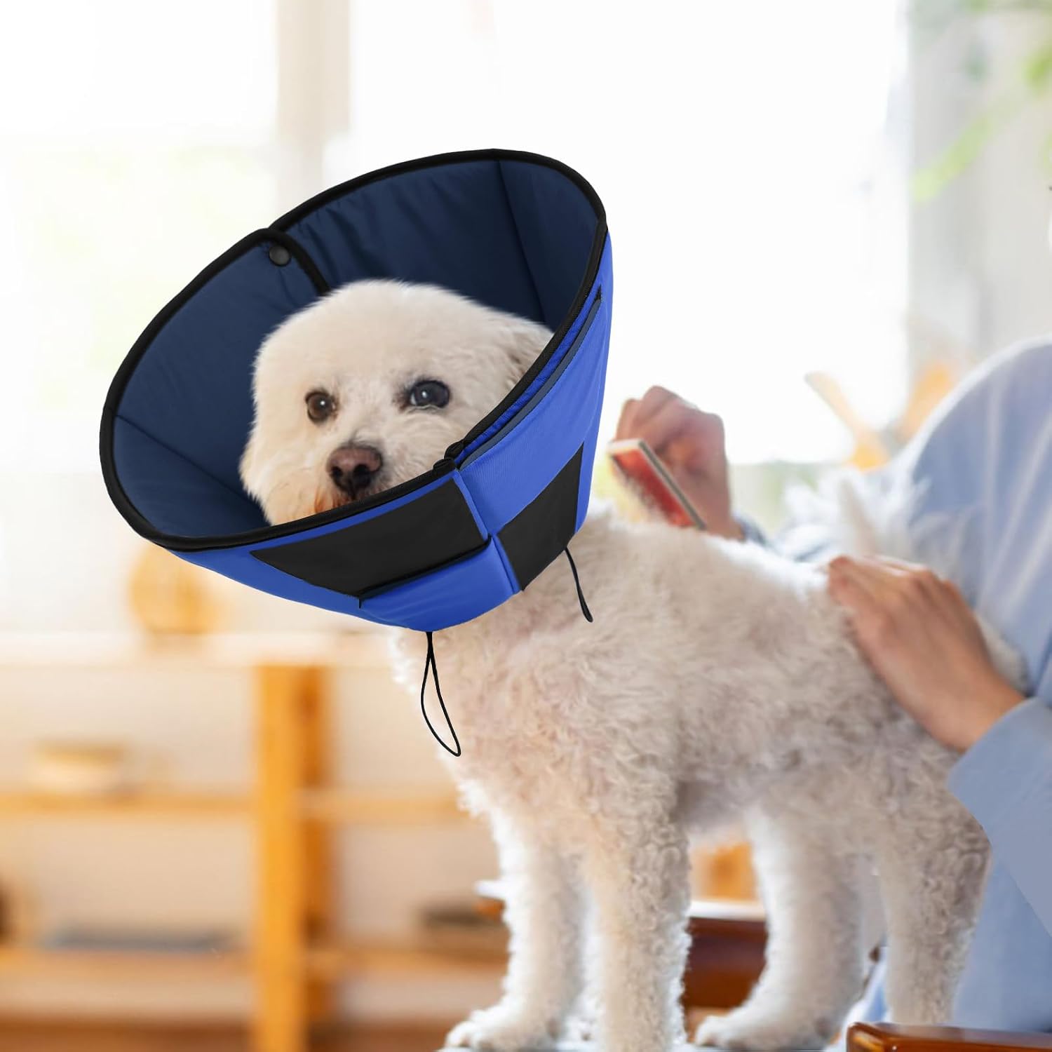 Thumbnail 6 de Preferhouse Small Dog Cone Collar adjustable S