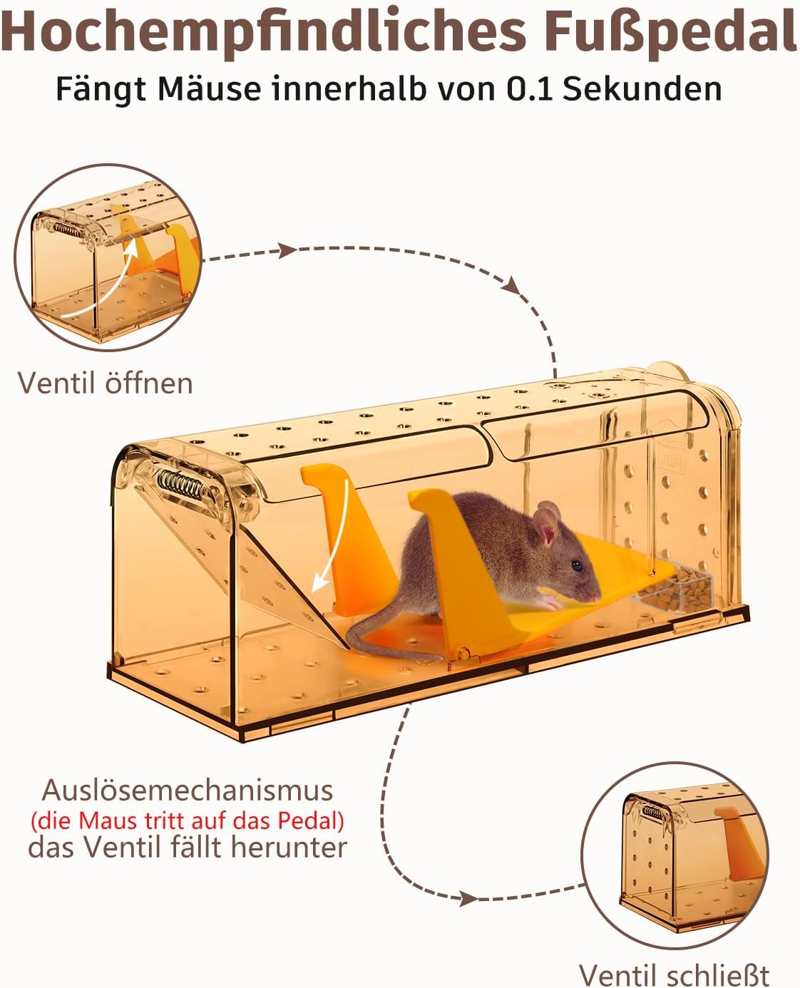 Detalle 2 de KENNEAS Mausefalle Lebend 2er Pack 7×7,2 cm