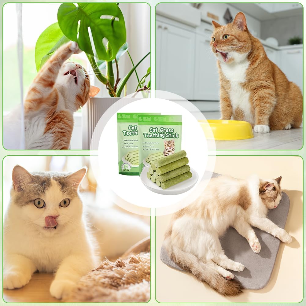 Thumbnail 6 de OSDUE Katzengras Snack 24 Stück für Beißpflege