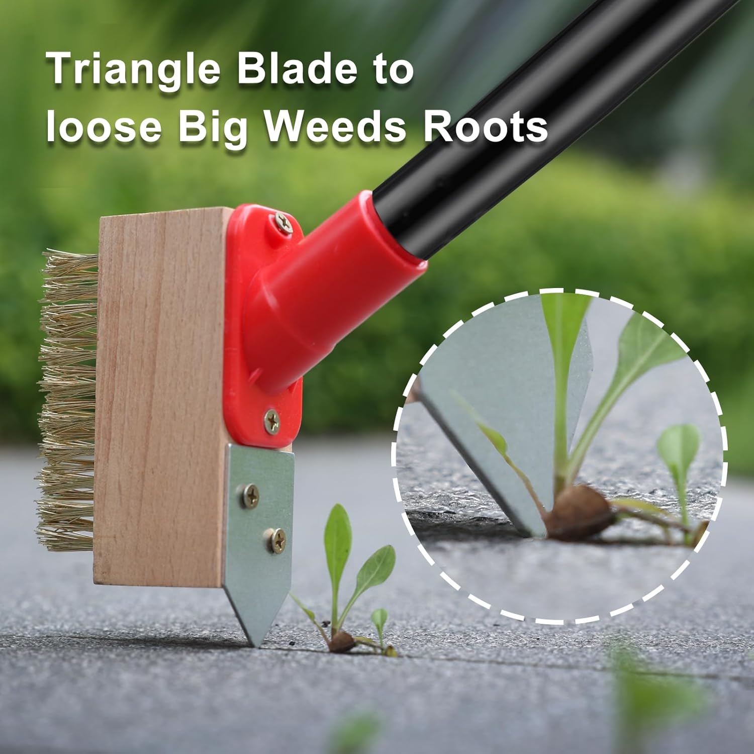 Thumbnail 5 de Mitclear 53IN Long-Handle Weed Remover with V-Shaped Brush & Blade Scraper (3 brush heads)
