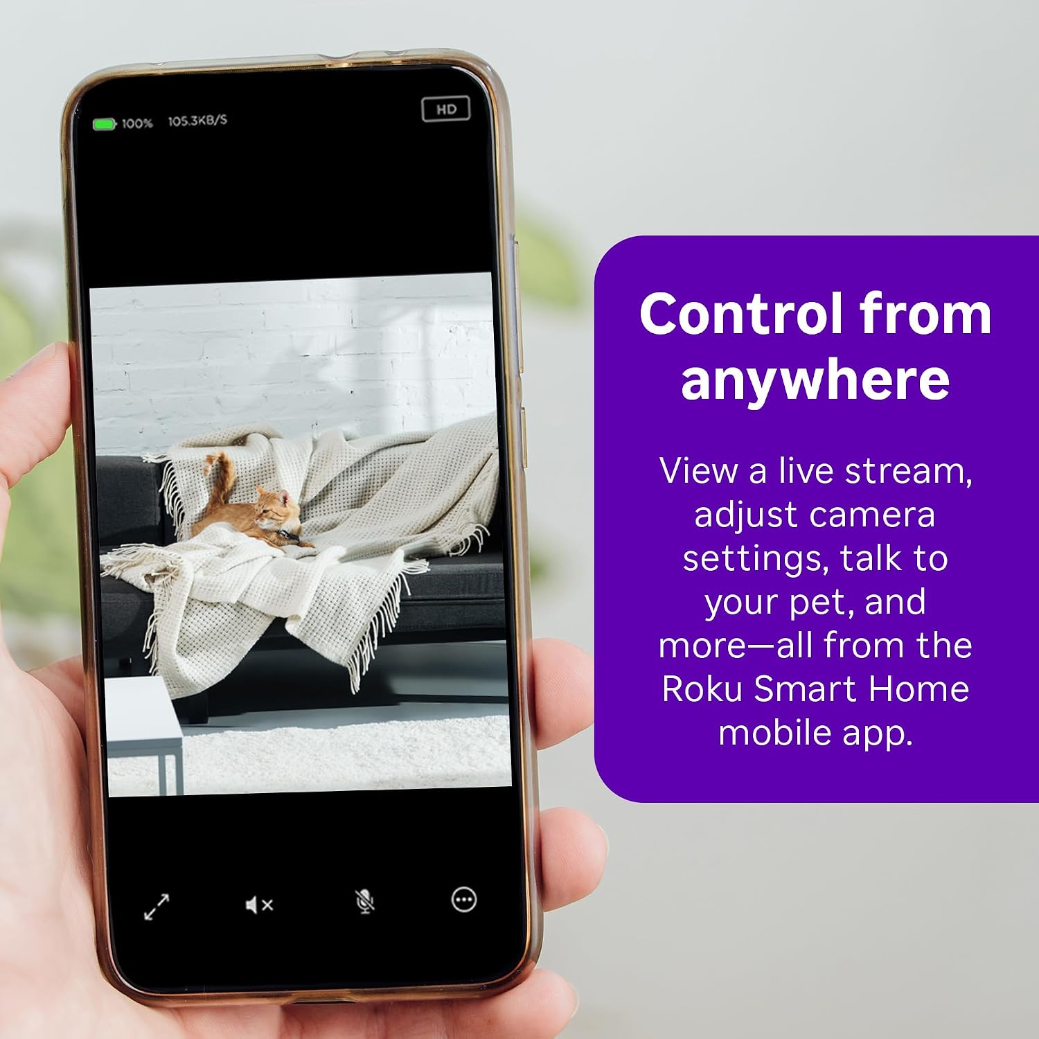 Detalle de Roku Indoor Camera 2-Pack