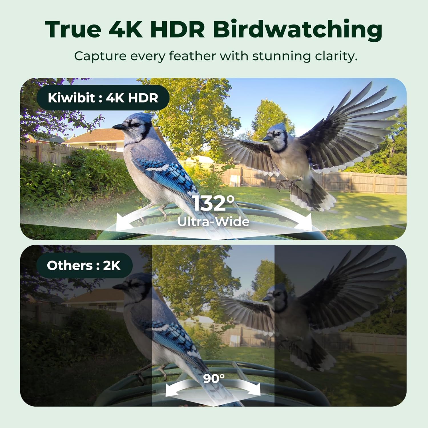 Detalle 2 de Beako Smart Bird Feeder 4K Camera