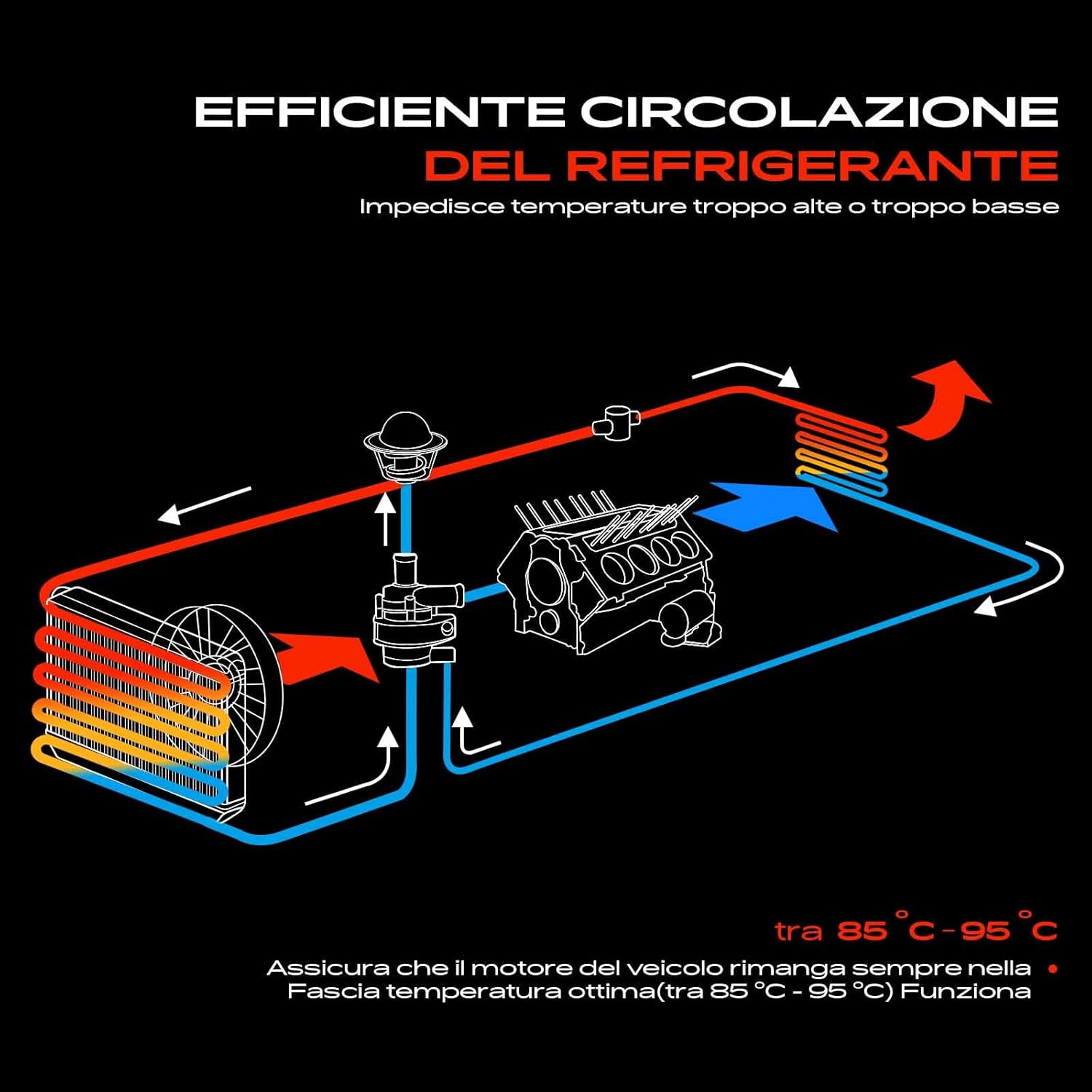 Detalle 2 de Frankberg Pompa acqua Liquido refrigerante Benzina Compatibile con Corsa C X01 1.2L / 1.0L e Agila – Kit di sostituzione