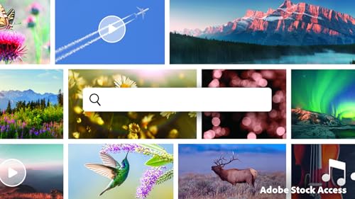 Detalle de Adobe Photoshop Elements & Premiere Elements 2026 (3-year license) — Photo & Video Editing