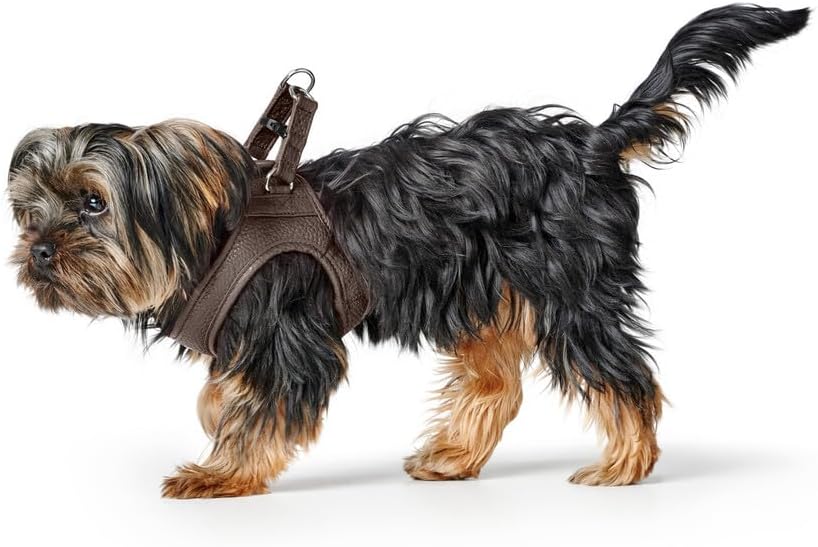 Thumbnail 6 de Hunter Hundegeschirr Love XXS-XS braun