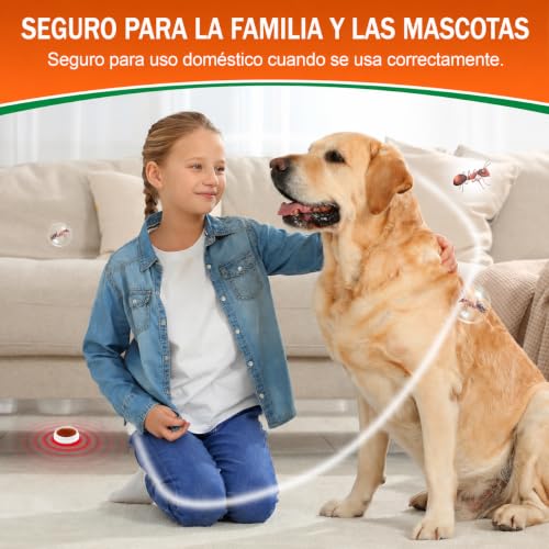 Thumbnail 3 de Jeweeio 60 trampas para hormigas: estaciones de cebo listas para usar para interior y exterior