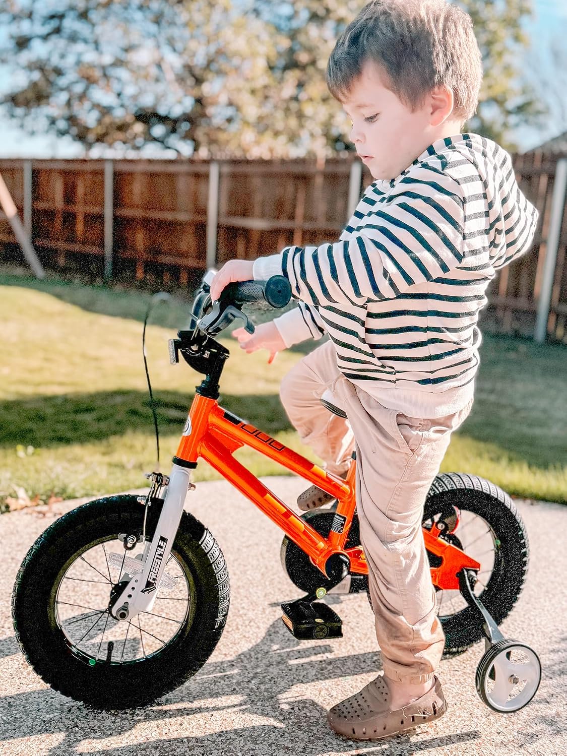 Detalle 2 de RoyalBaby Freestyle Kids Bike 12 in