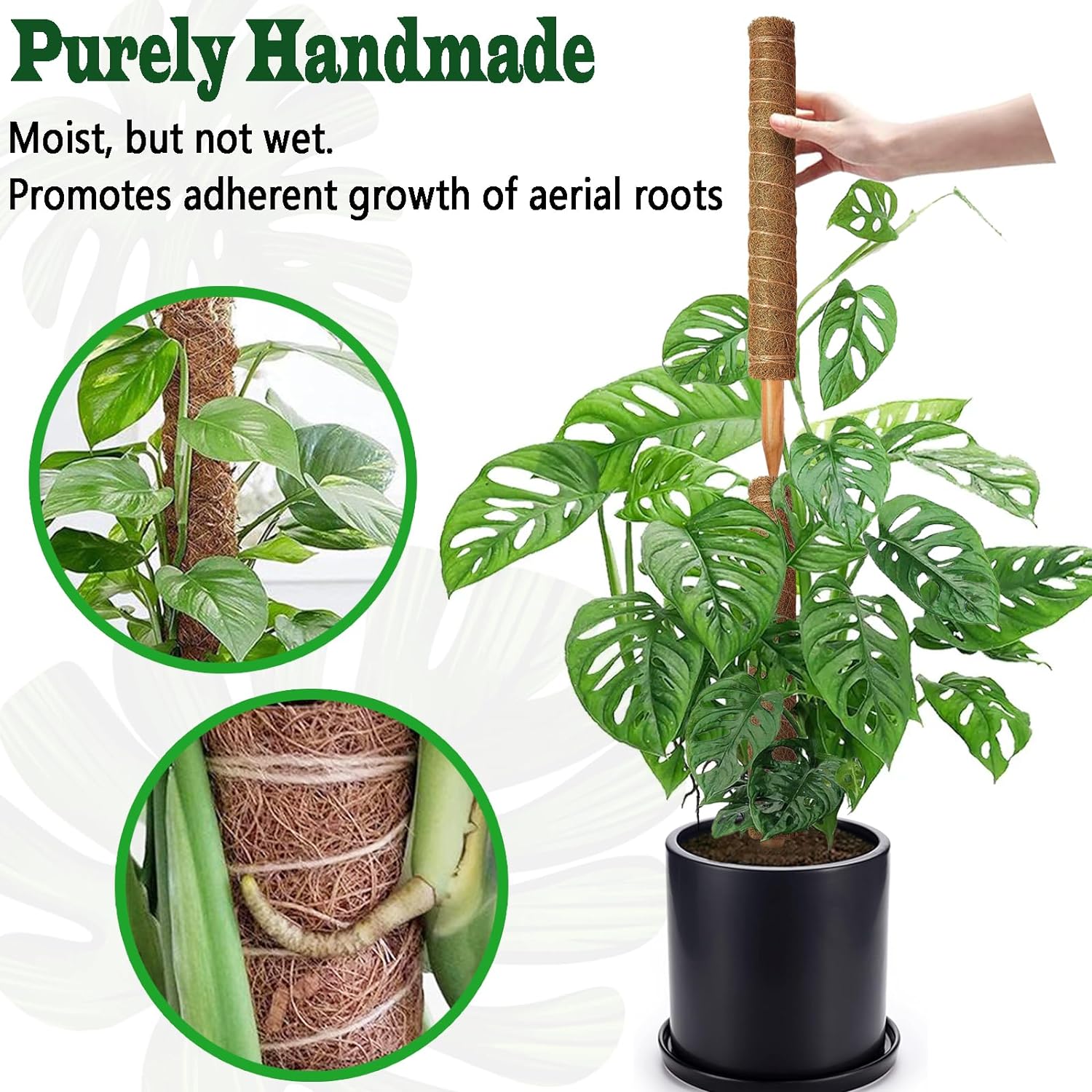 Detalle 2 de CHIAFFI Moss Pole 4-Pack, 22-Inch Stackable Coir Plant Supports