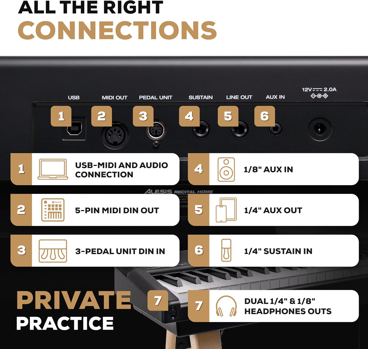 Thumbnail 4 de Alesis Recital Home RECITALHOMEBLK Digital Piano with 88 Weighted Keys
