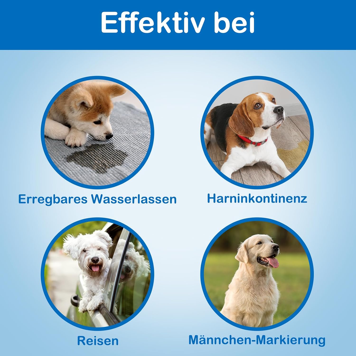 Thumbnail 4 de Flying Paws Einweg-Hundewindeln für Rüden, S, Taille 30–48 cm, 40 Stück