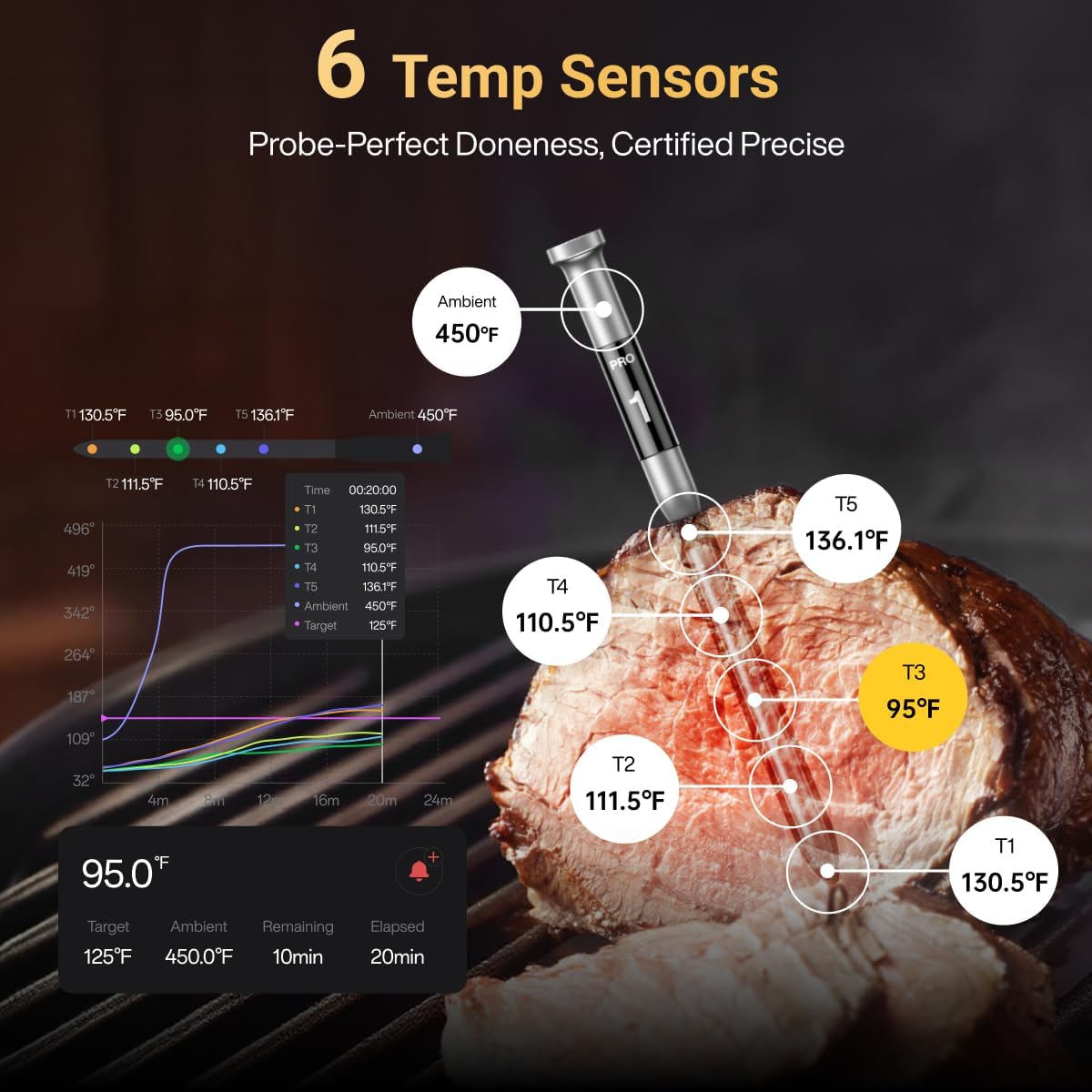 Detalle 2 de Typhur YS-WT10 Sync Gold Gen2 Wireless Meat Thermometer, 6 Sensors & LCD