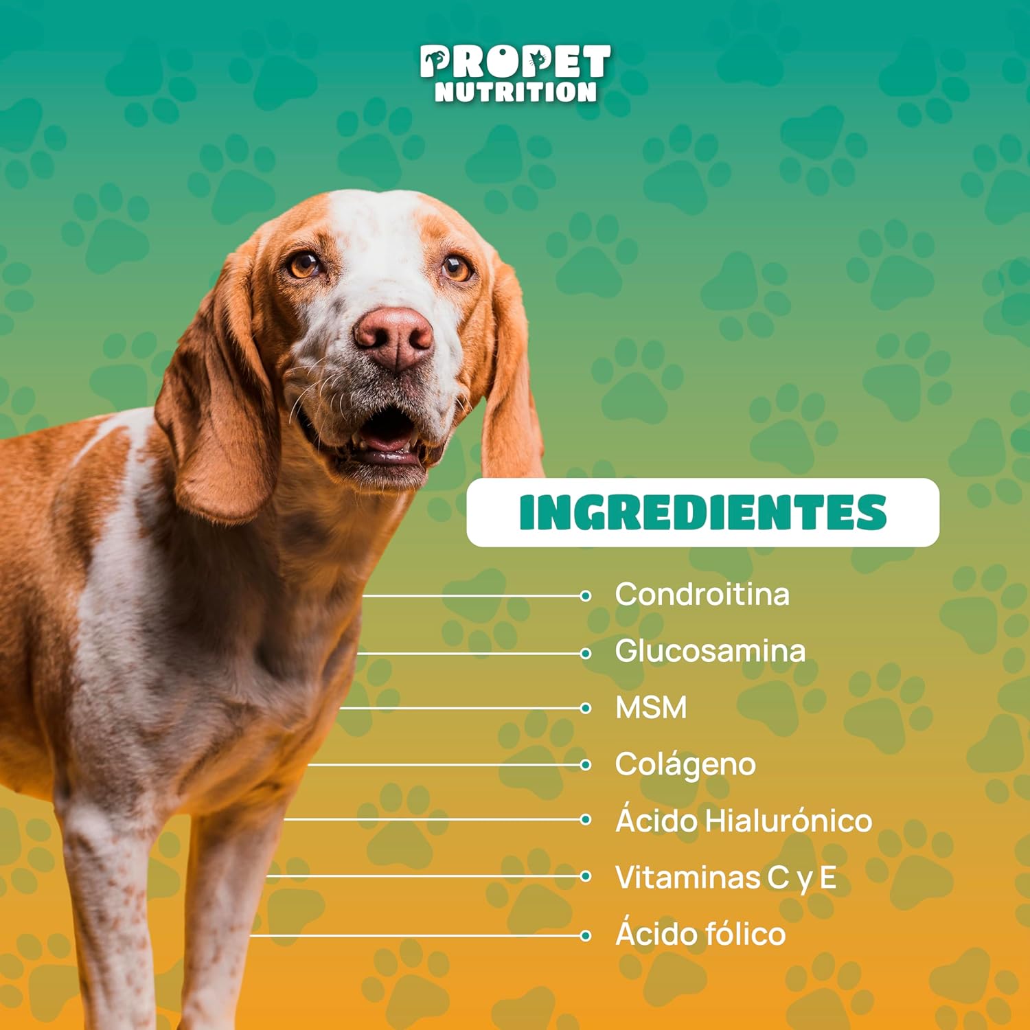 Thumbnail 4 de Condroprotector Perros 120 Masticables