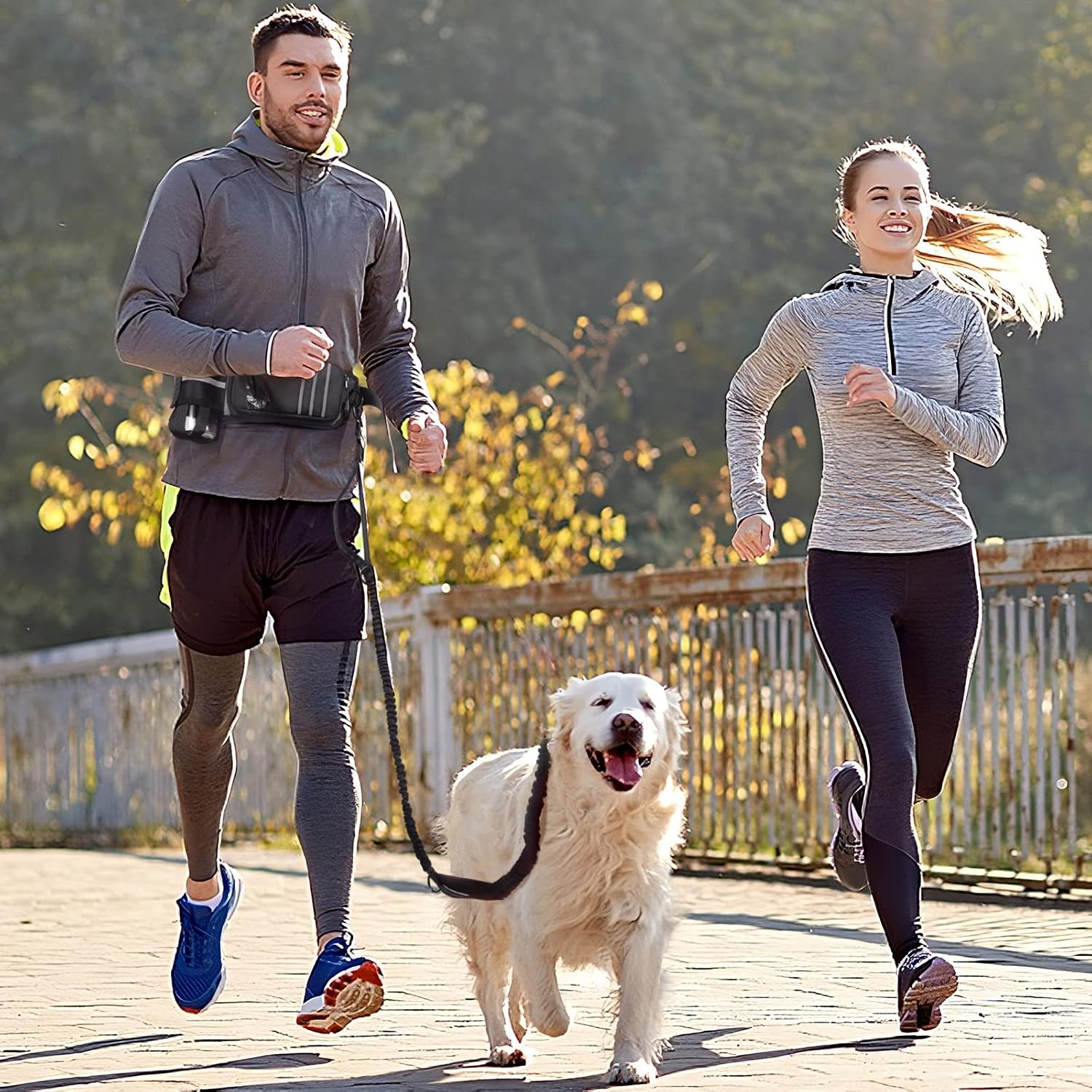 Detalle 2 de Joggingleine für Hunde mit Bauchgurt & Hüfttasche – Freihandleine, Doppelfassungen & Stoßdämpfer