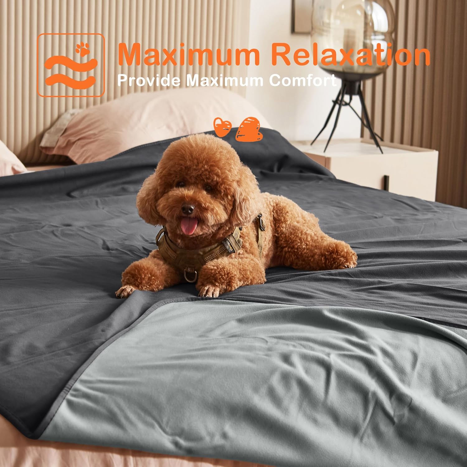 Detalle 2 de Pawsee Wasserdichte Hundedecke 125 × 75 cm – Schutzdecke für Sofa, Bett und Auto