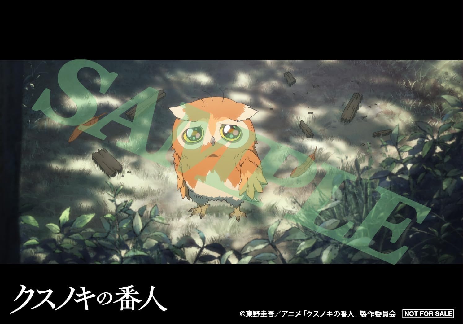 Thumbnail 6 de クスノキの番人 Blu-ray 数量限定特装版 クスノキ製スタンド・特典ディスク付き