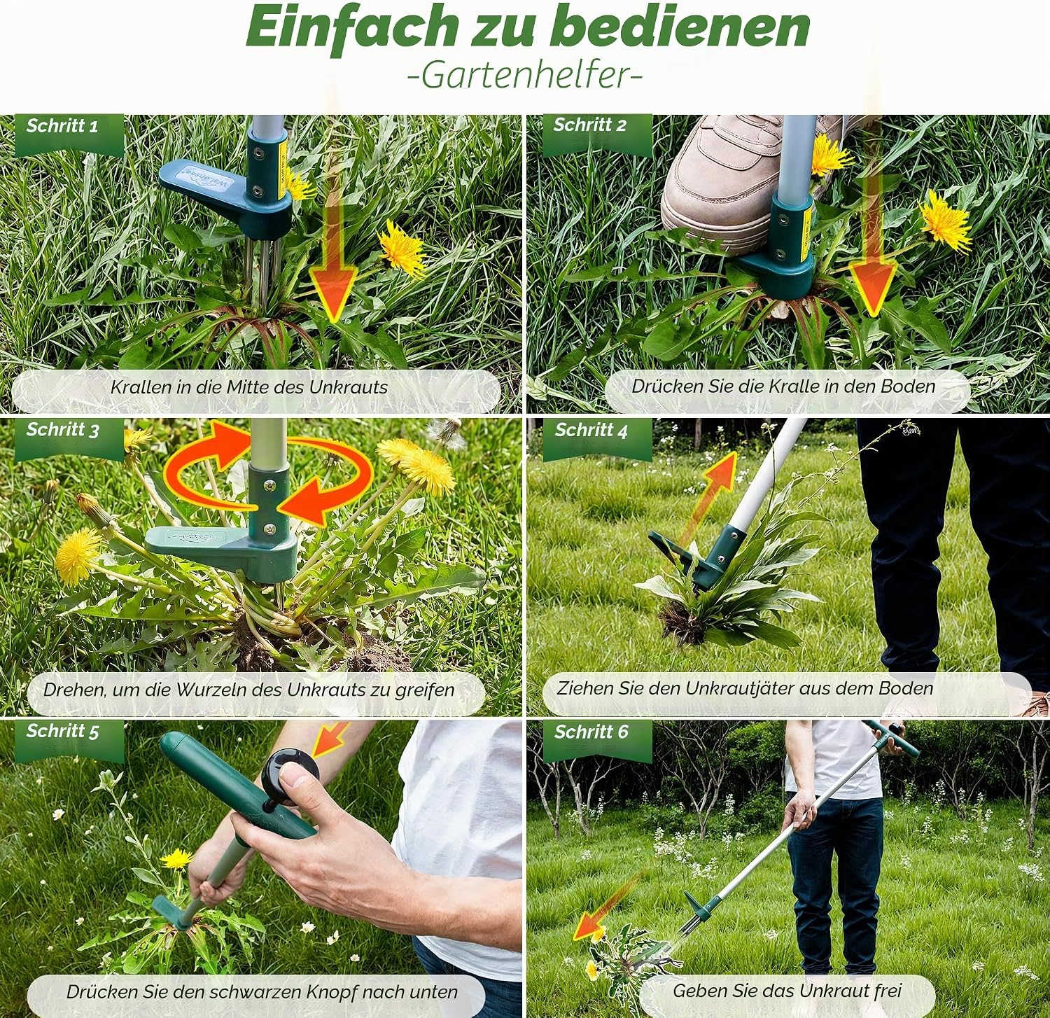 Detalle 2 de Walensee Unkrautstecher (Unkrautentferner) 100 cm mit 3 Kiefern, aus gehärtetem Edelstahl – für Unkraut mitsamt Wurzeln