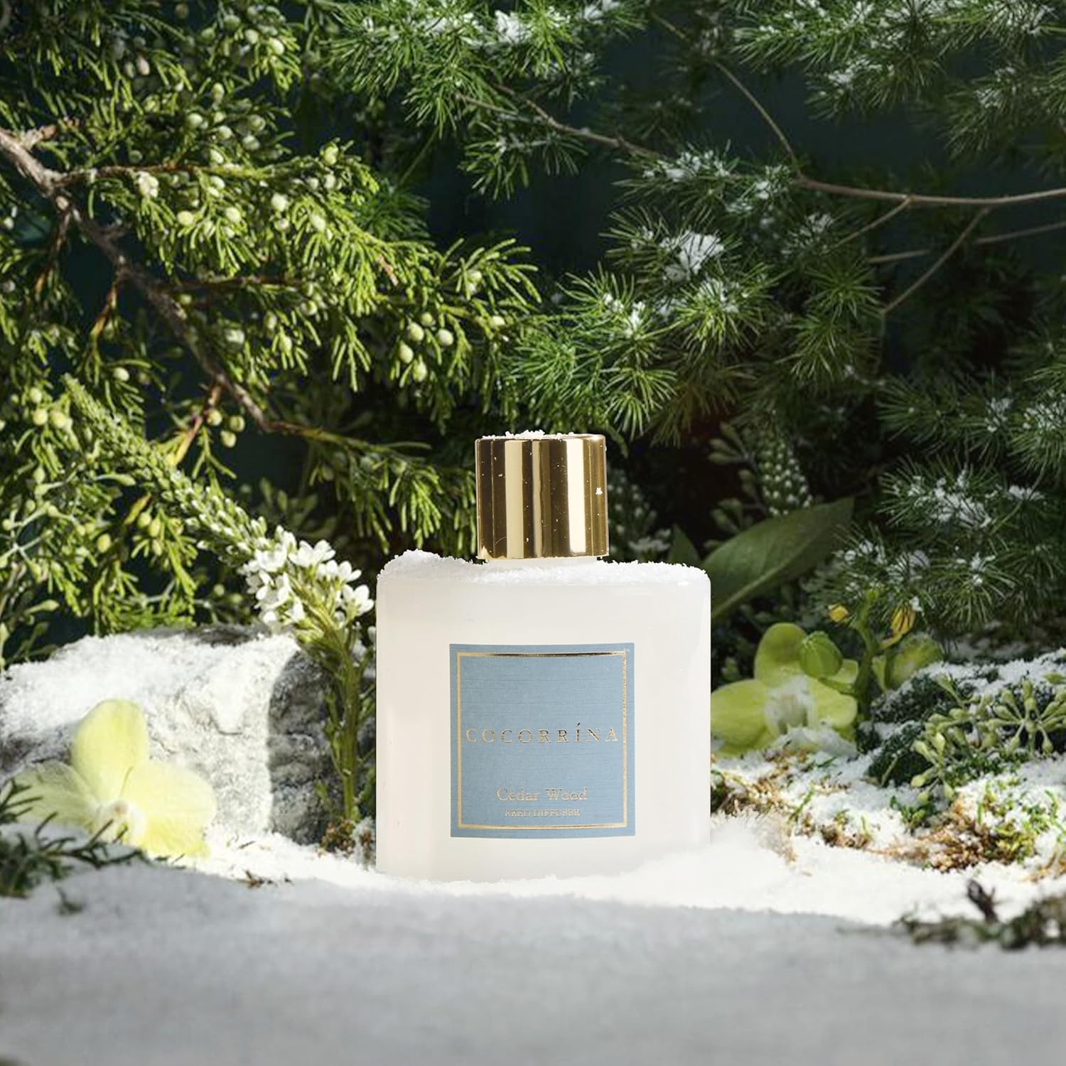 Thumbnail 3 de COCORRÍNA Raumduft Reed Diffuser mit 8 Duftstäbchen (200 ml) Cedar Wood