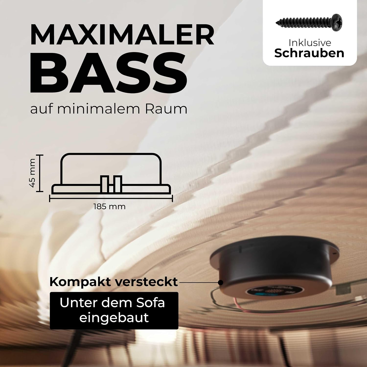 Detalle 2 de Reckhorn Haut-Parleur excitateur 200 W Sinustec St-BS 250 4 Ω