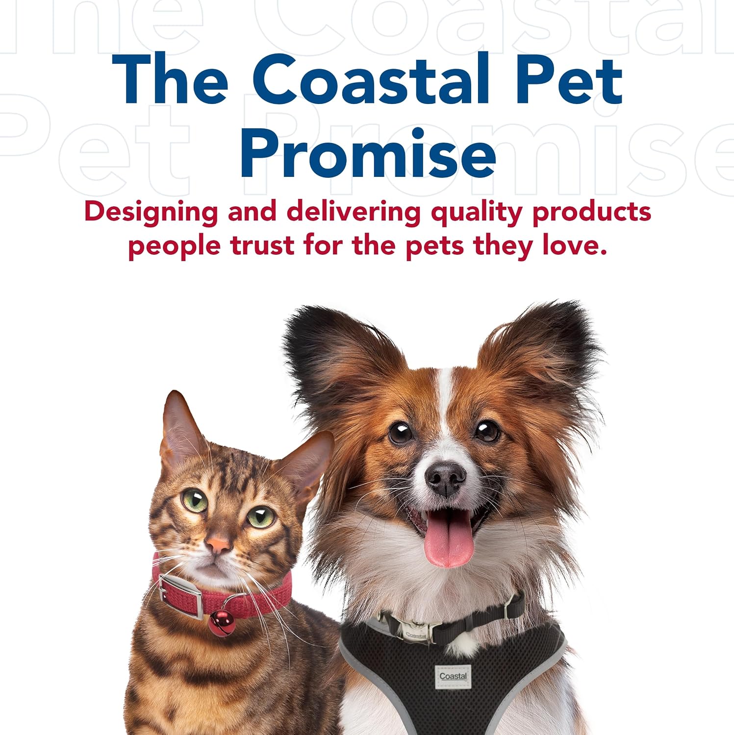 Thumbnail 6 de Coastal Safari プロフェッショナル 犬用爪切り S/Mサイズ、ステンレス製・安全ストッパー付き