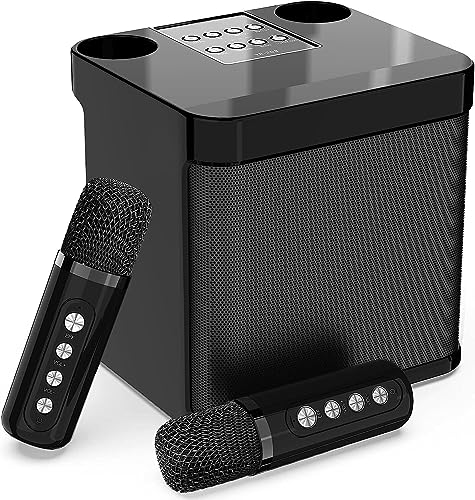 Karaoke 2 micrófonos inalámbricos con altavoz profesional de MUMUWIND