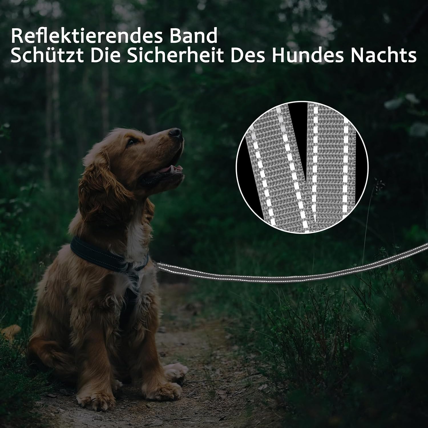 Detalle de Demigreat Schleppleine für Hunde (reflektierend, gepolsterter Griff) in 3 m, 5 m, 10 m, 15 m oder 20 m