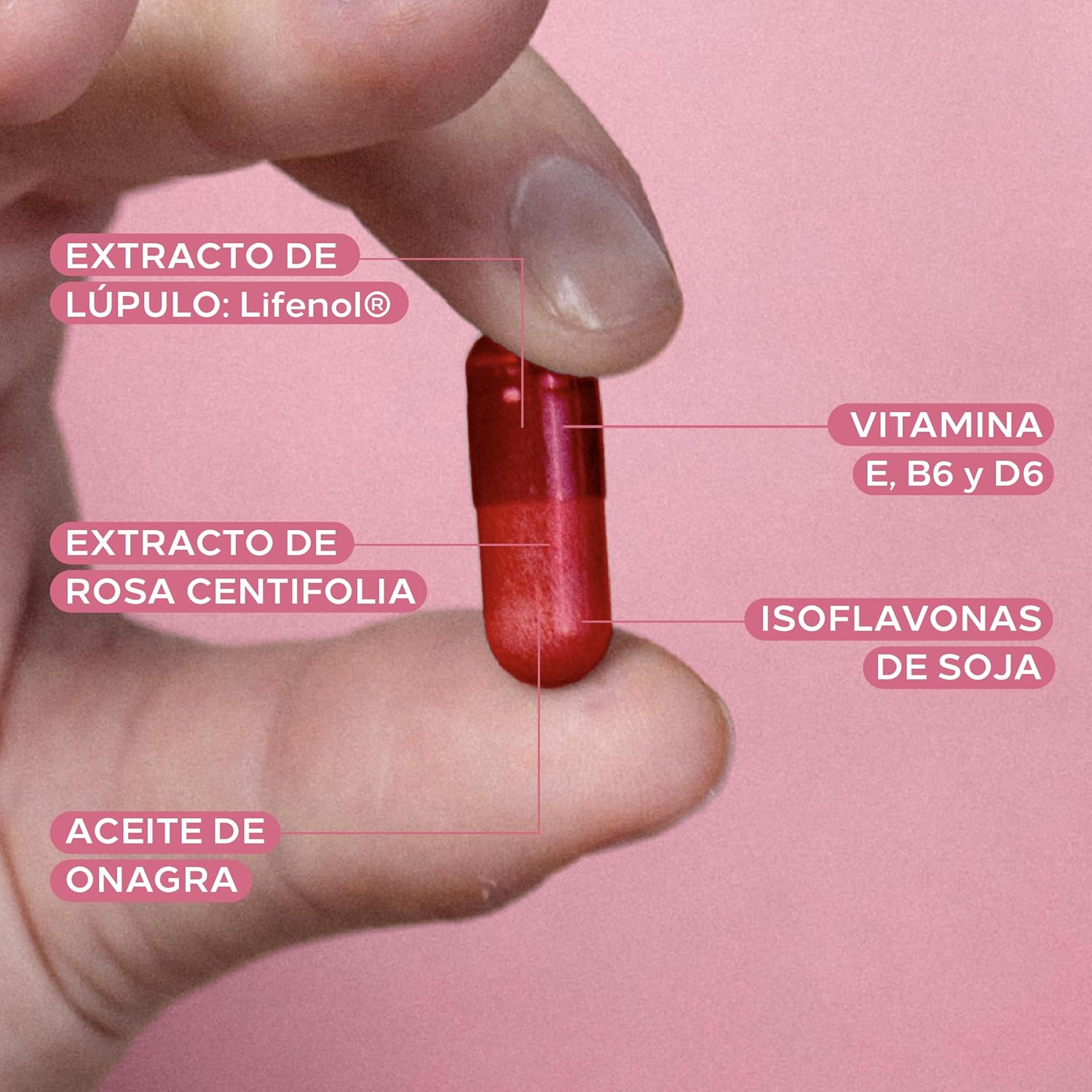 Thumbnail 3 de Cumlaude Lab Gineseda 30 cápsulas para menopausia 💊