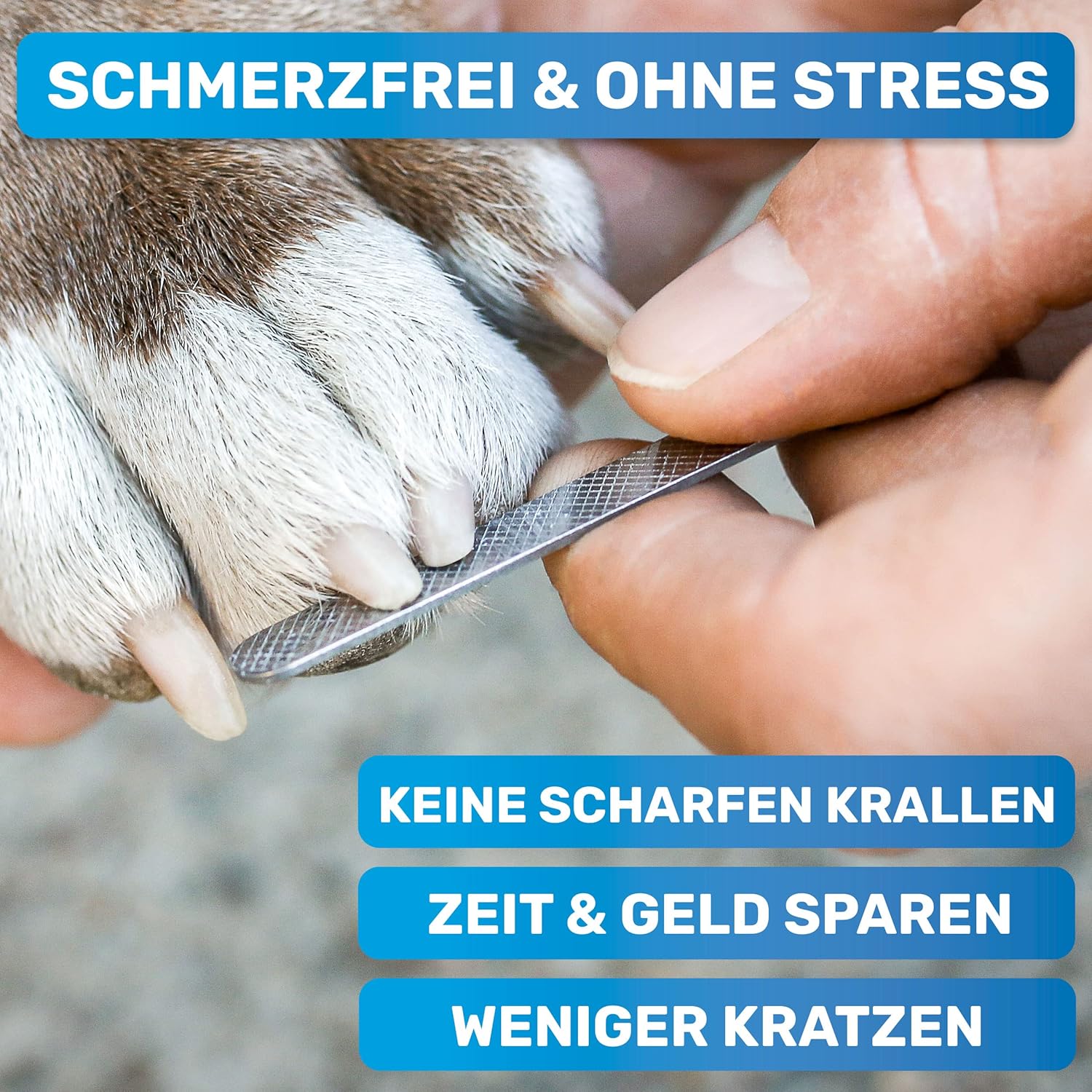Thumbnail 3 de BluePet Krallenschere mit Schutz & Abstandshalter für kleine Hunde und Katzen