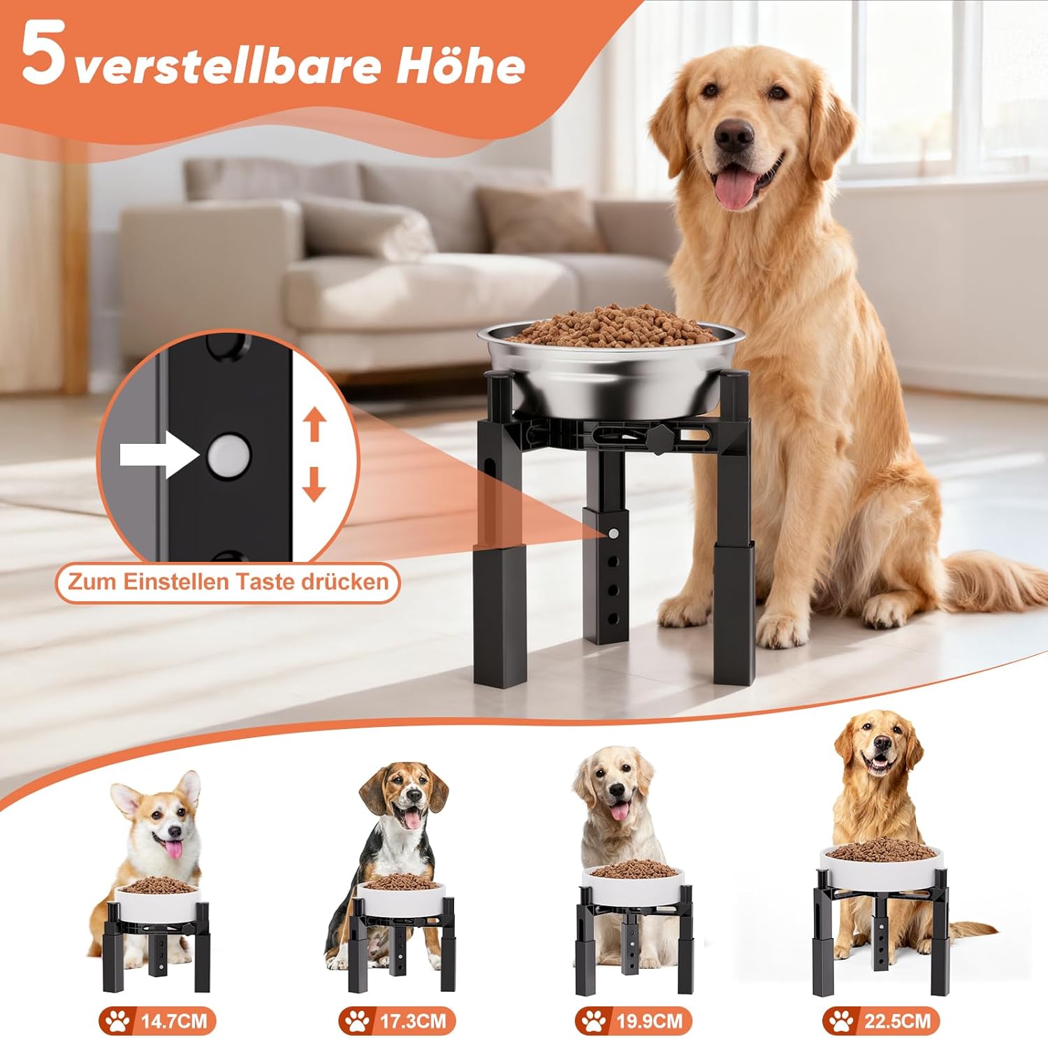 Detalle de X XBEN supporto per ciotole rialzate per cani con 4 altezze e larghezza regolabile (solo supporto)