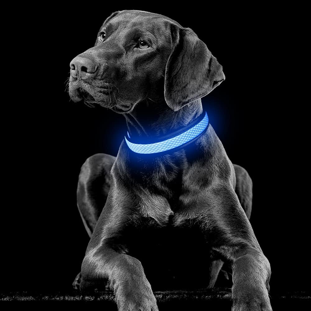 Thumbnail 5 de YFbrite LED-Hundehalsband S blau 🐕