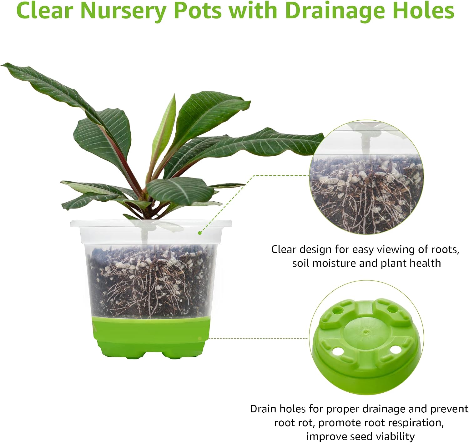 Detalle 1 de MIXC 4-Inch Nursery Pots, 30-Pack, with Clear Sides and Silicone Bases