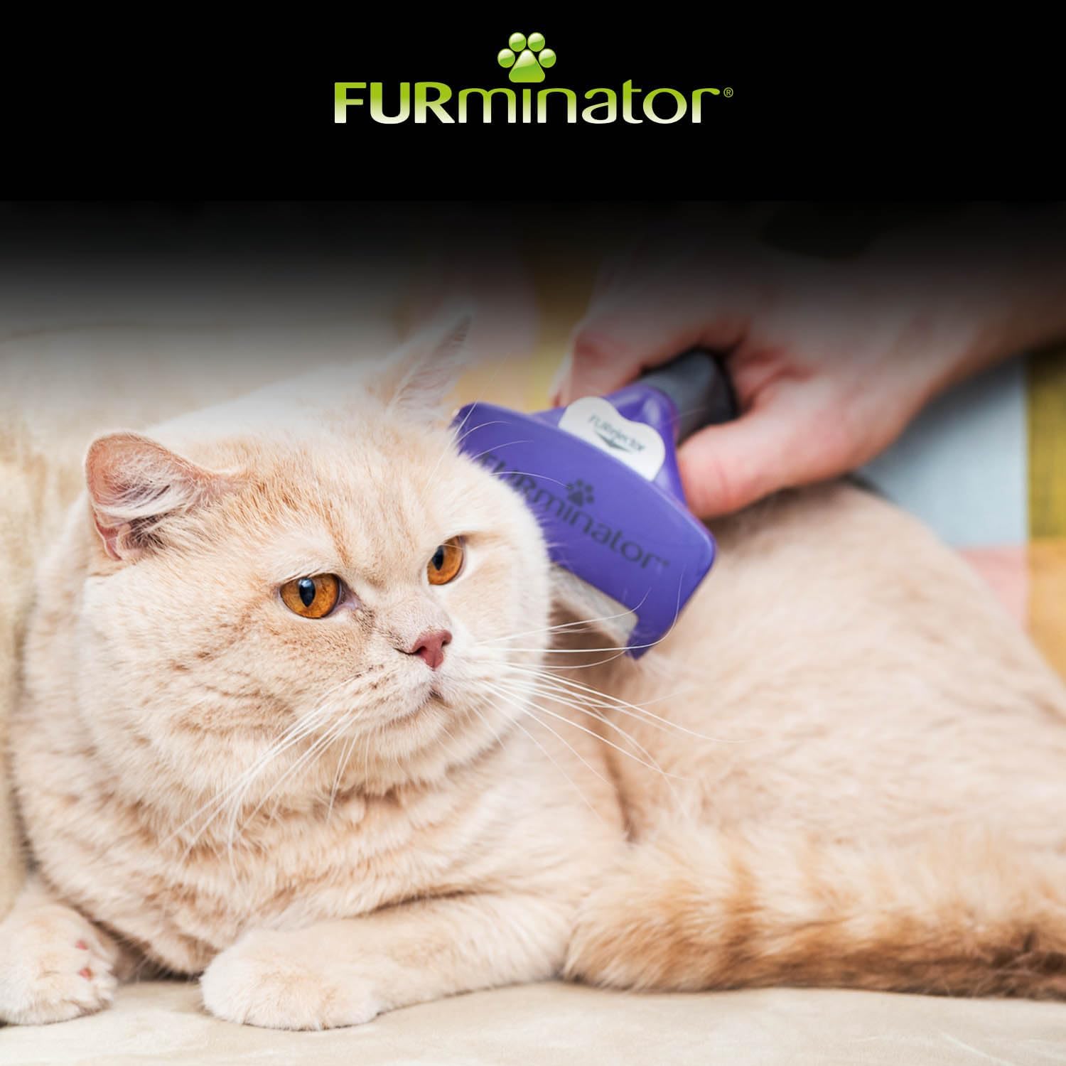 Detalle de FURMINATOR Outil de Toilettage pour Chat à Poils Courts — TMassive M/L, Poils Morts Éliminés 90 %, Manche Ergonomique, Nettoyage en 1 clic