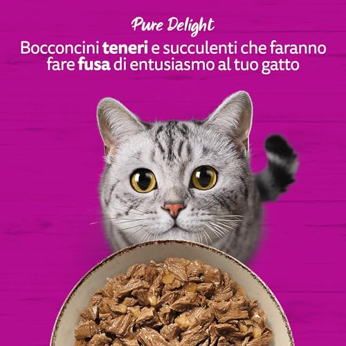 Thumbnail 6 de WHISKAS PURE DELIGHT Cibo Umido in Gelatina per Gatti Adulti 4x85g Selezione Delicata