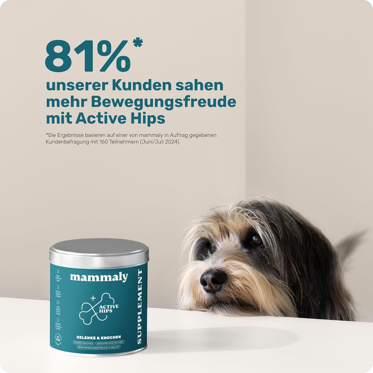 Detalle de 11-in-1 Grünlippmuschel Hund Gelenktabletten – Active Hips Leckerli (325 g) von mammaly