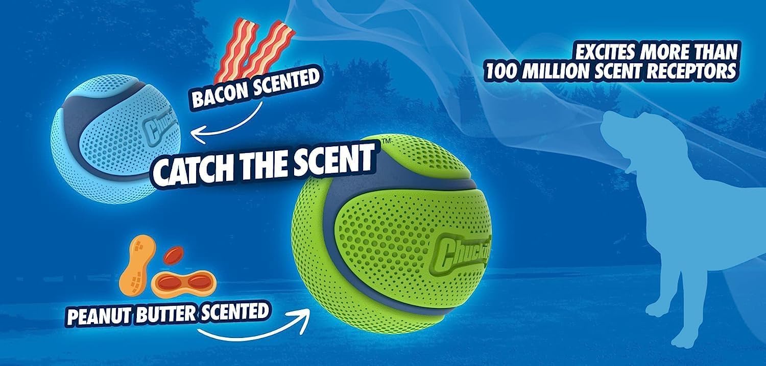 Detalle de Chuckit! Sniff – Bacon Scented Dog Fetch Ball, Medium, Durable Rubber Toy for Launcher