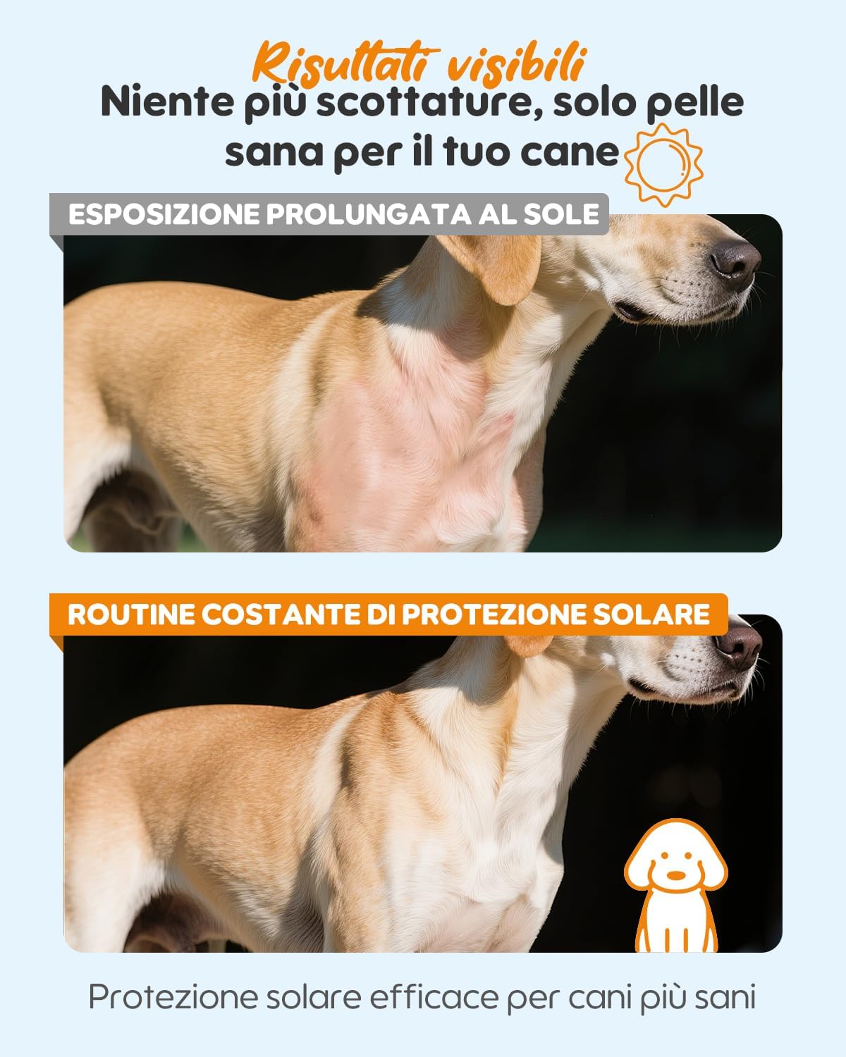 Detalle 2 de Protezione solare per cani – Spray solare 3-in-1 (Protegge, lenisce & idrata) | Trasparente, asciugatura rapida e resistente all’acqua