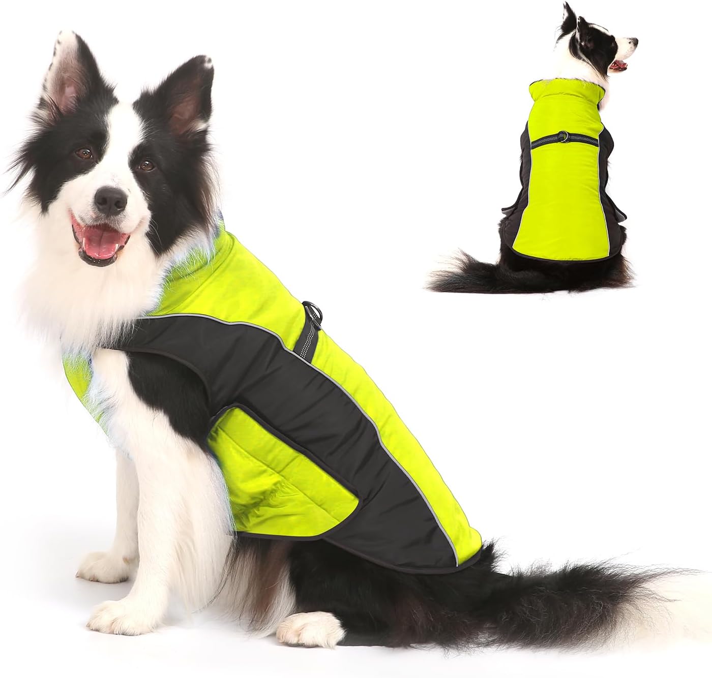 Detalle de Gimilife Dog Coat with Harness