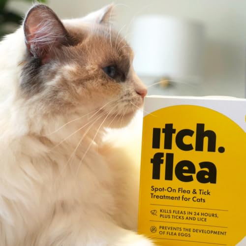 Detalle de Itch Cat Flea & Tick Spot On Treatment (1kg+) – 3 Pipettes