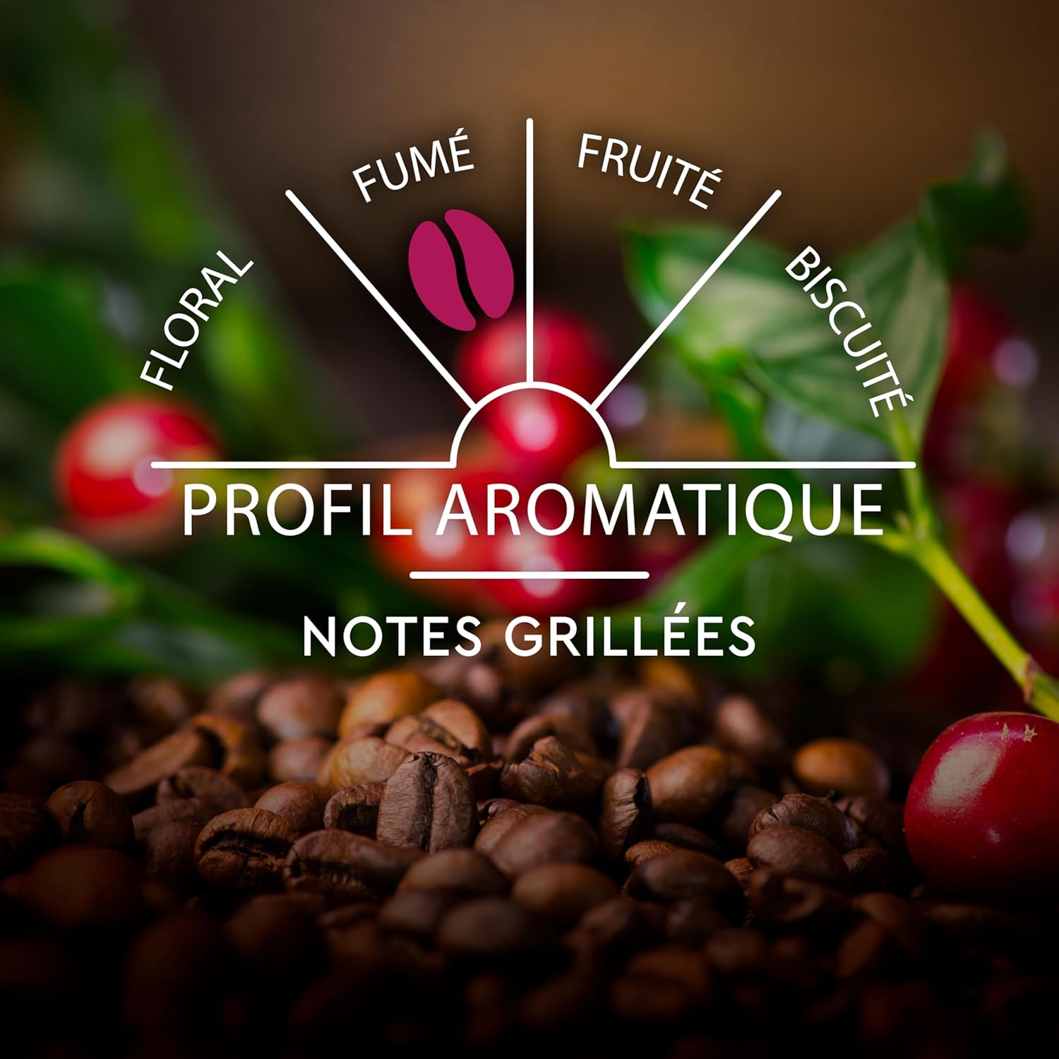 Thumbnail 5 de CARTE NOIRE Capsules de café Nespresso