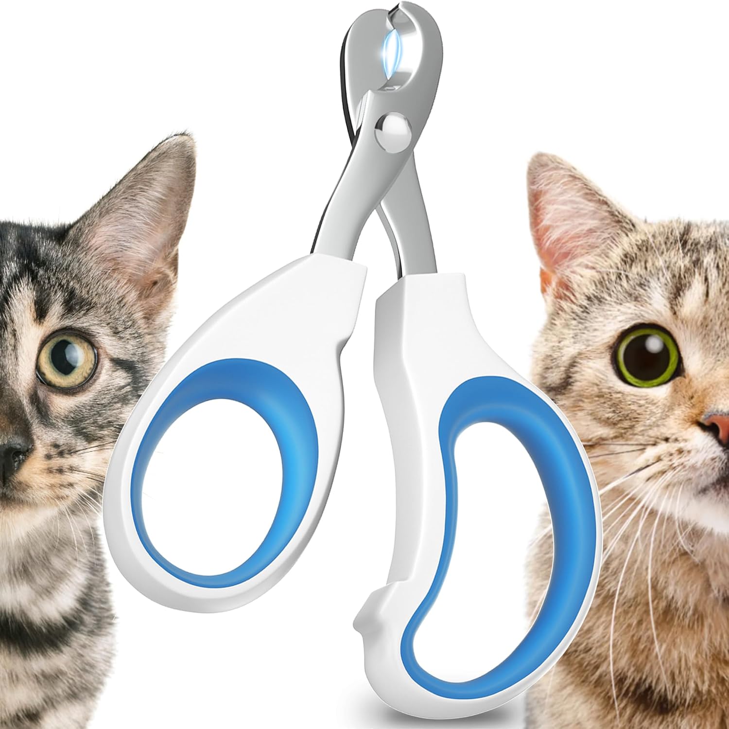 Krallenschere Katzen – Einfache Nagelpflege für Anfänger mit sicherem Griff