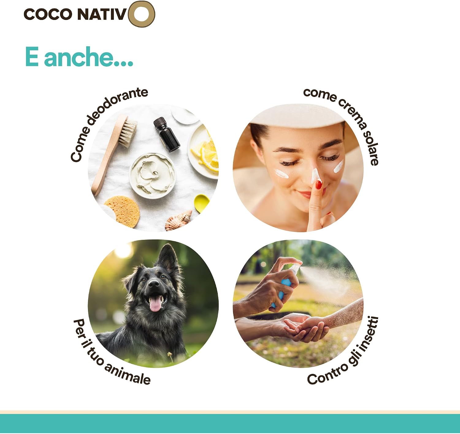 Detalle 2 de Olio di Cocco Biologico Extra Vergine CocoNativo – 6x1000 ml, crudo e spremuto a freddo