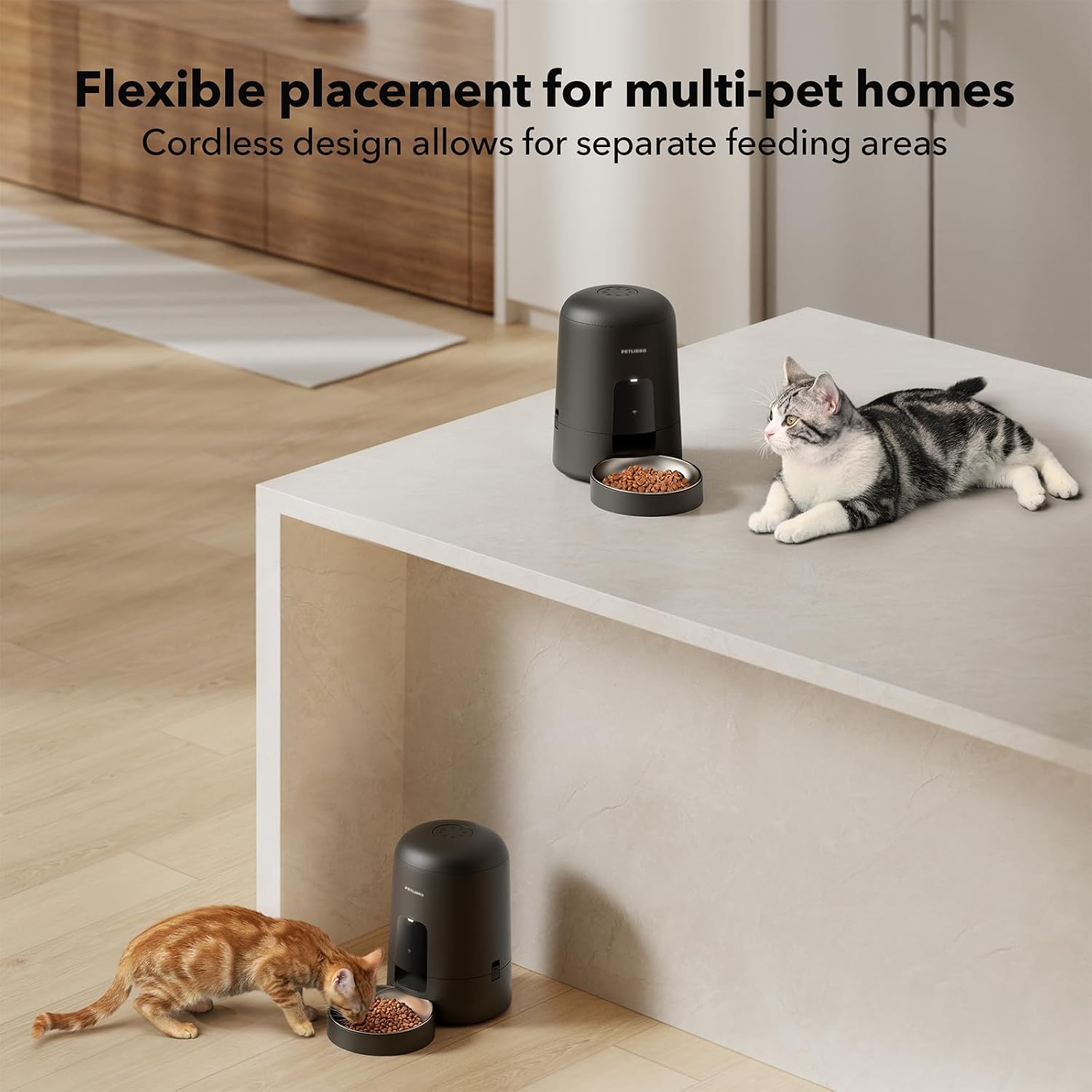 Thumbnail 6 de PETLIBRO Automatic Cat Feeder 30 days ⬇️ 🐱